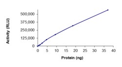 Sino Biological&nbsp;Recombinant Human RET Protein (V738A, GST Tag), Active
